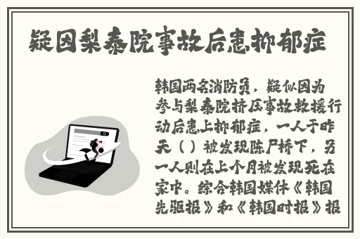 久久精品麻豆婷婷