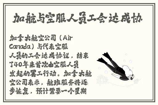 真女神侦探在线播放